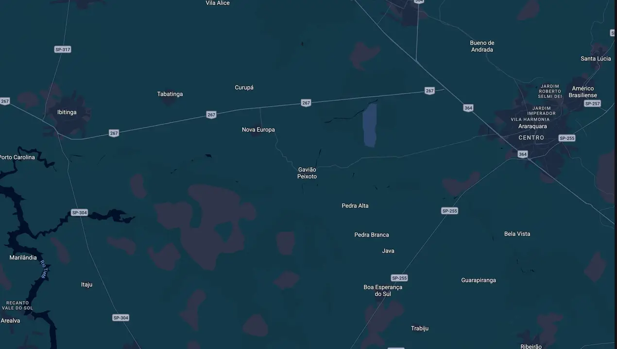 Mapa eleitoral de Adriano Marçal