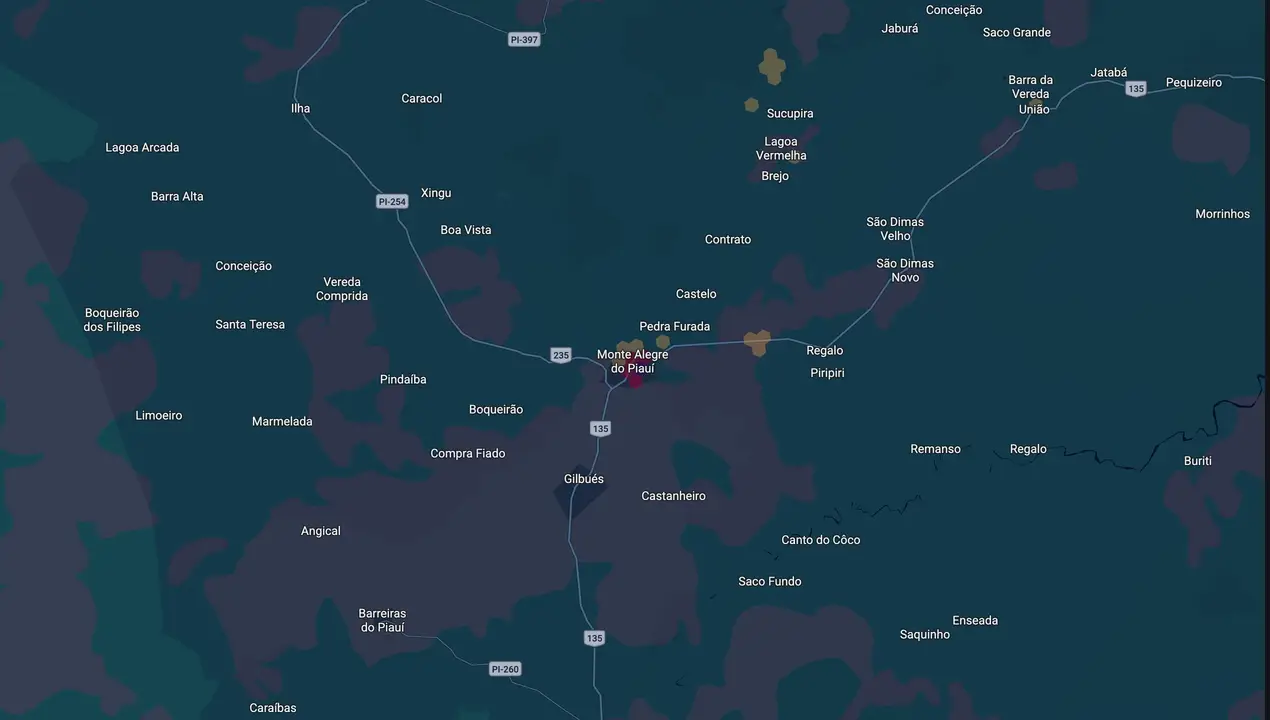 Mapa eleitoral de Ana Paula Reis
