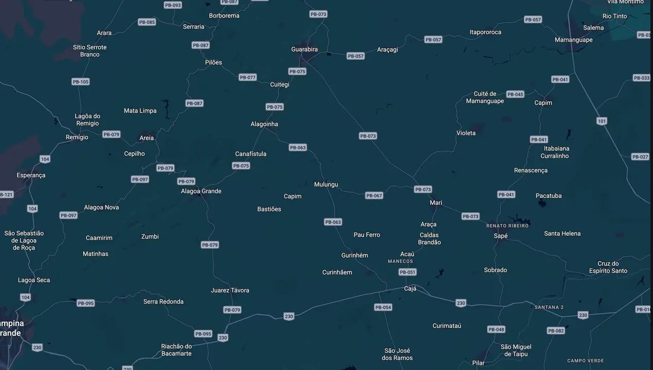 Mapa eleitoral de Daniela Ribeiro