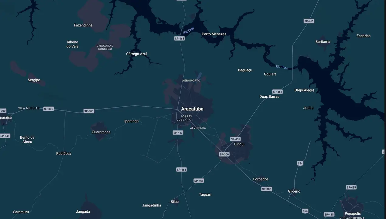 Mapa eleitoral de Dilador Borges