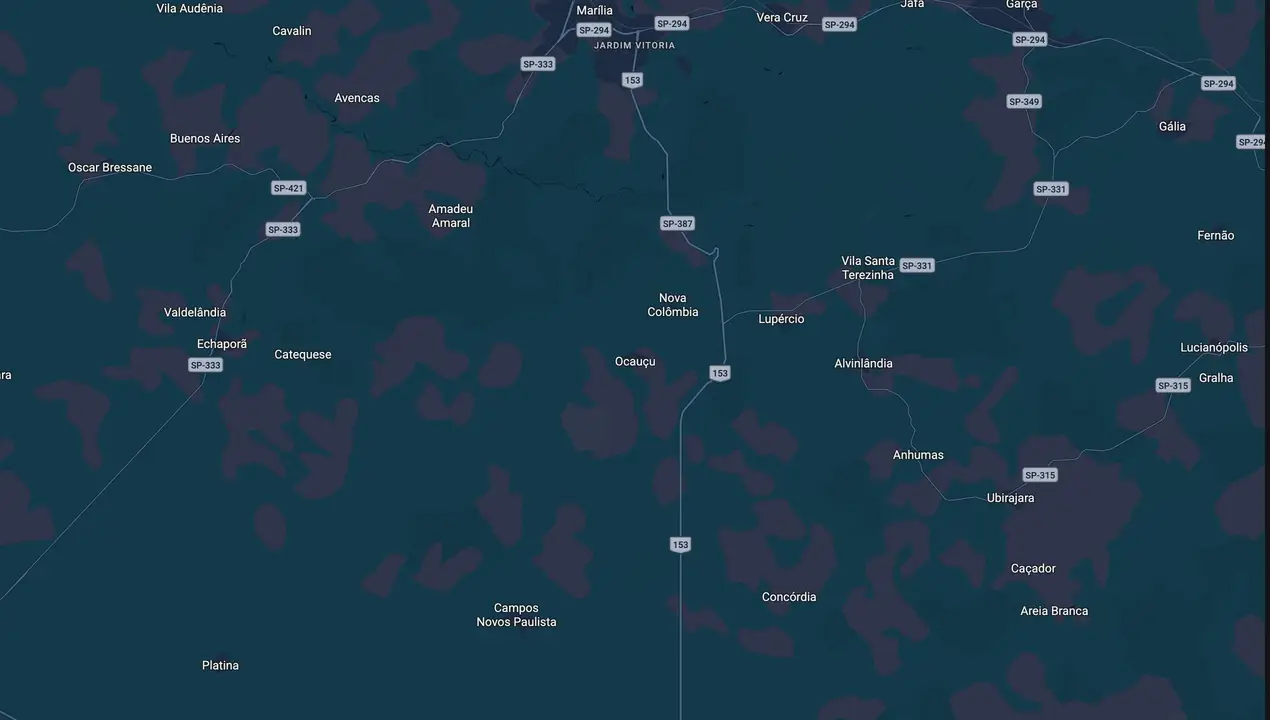 Mapa eleitoral de Dito Costa e Silva
