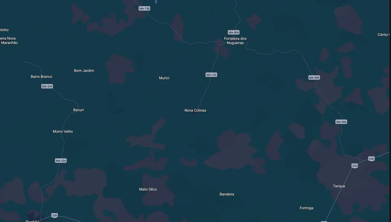 Mapa eleitoral de Dra Mariana