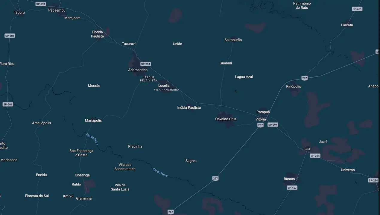 Mapa eleitoral de Fernando Rossi