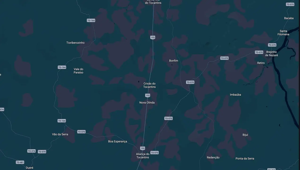 Mapa eleitoral de Flávia do Leitoa