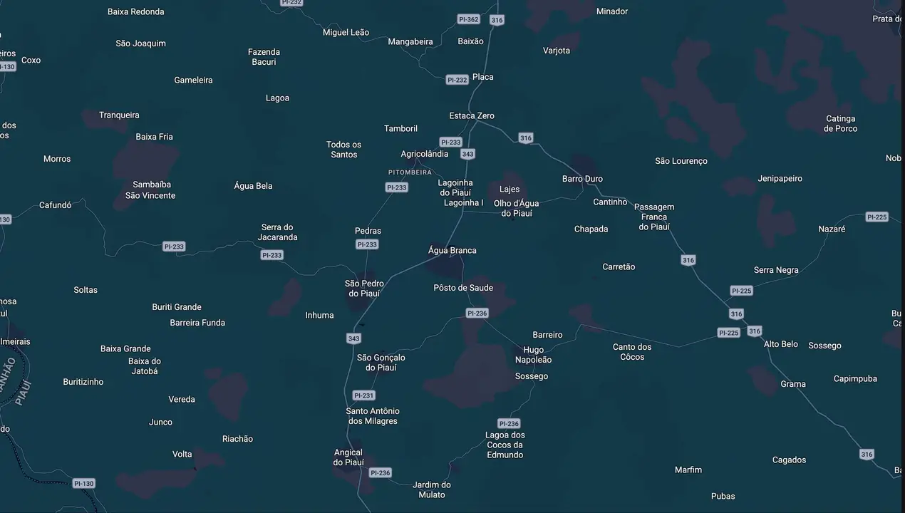 Mapa eleitoral de Junior Ribeiro