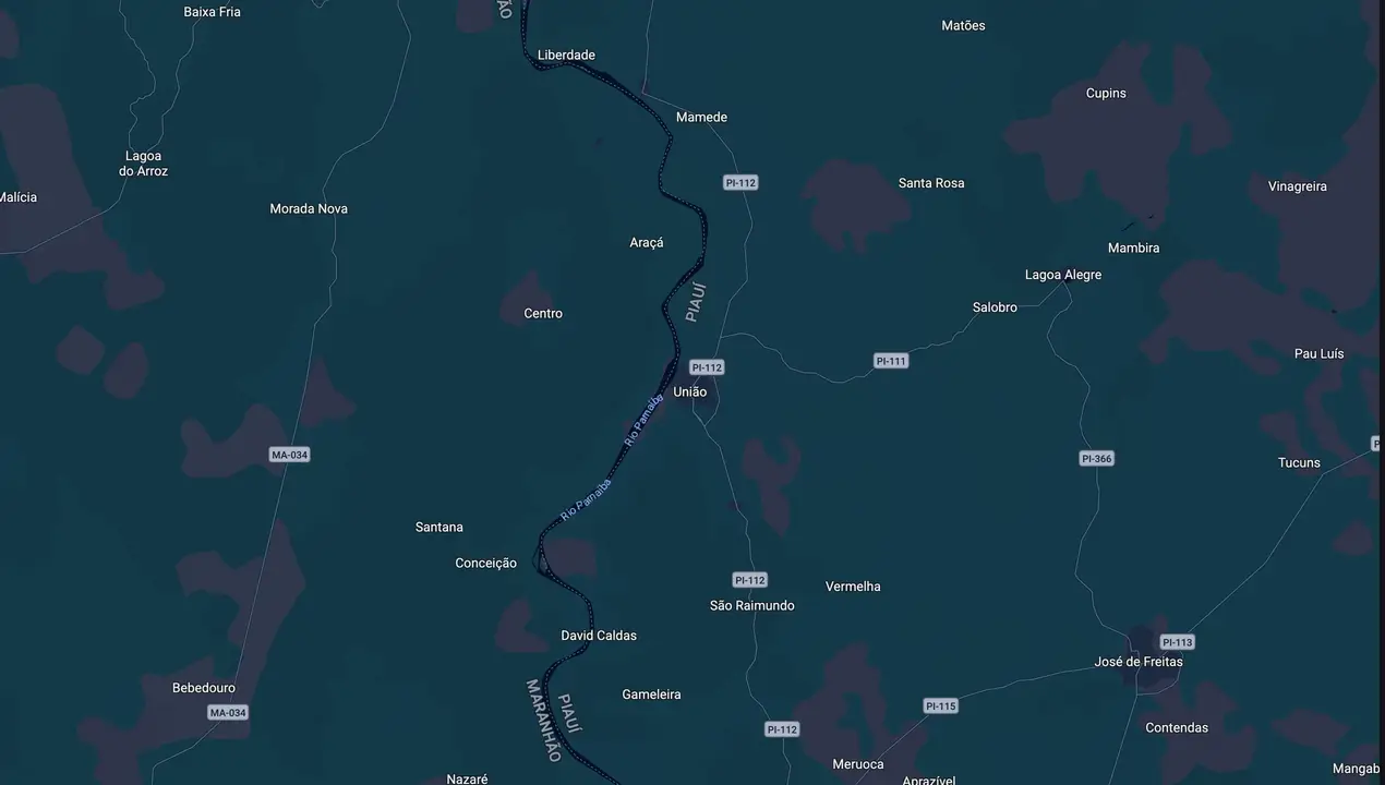 Mapa eleitoral de Junior Viana