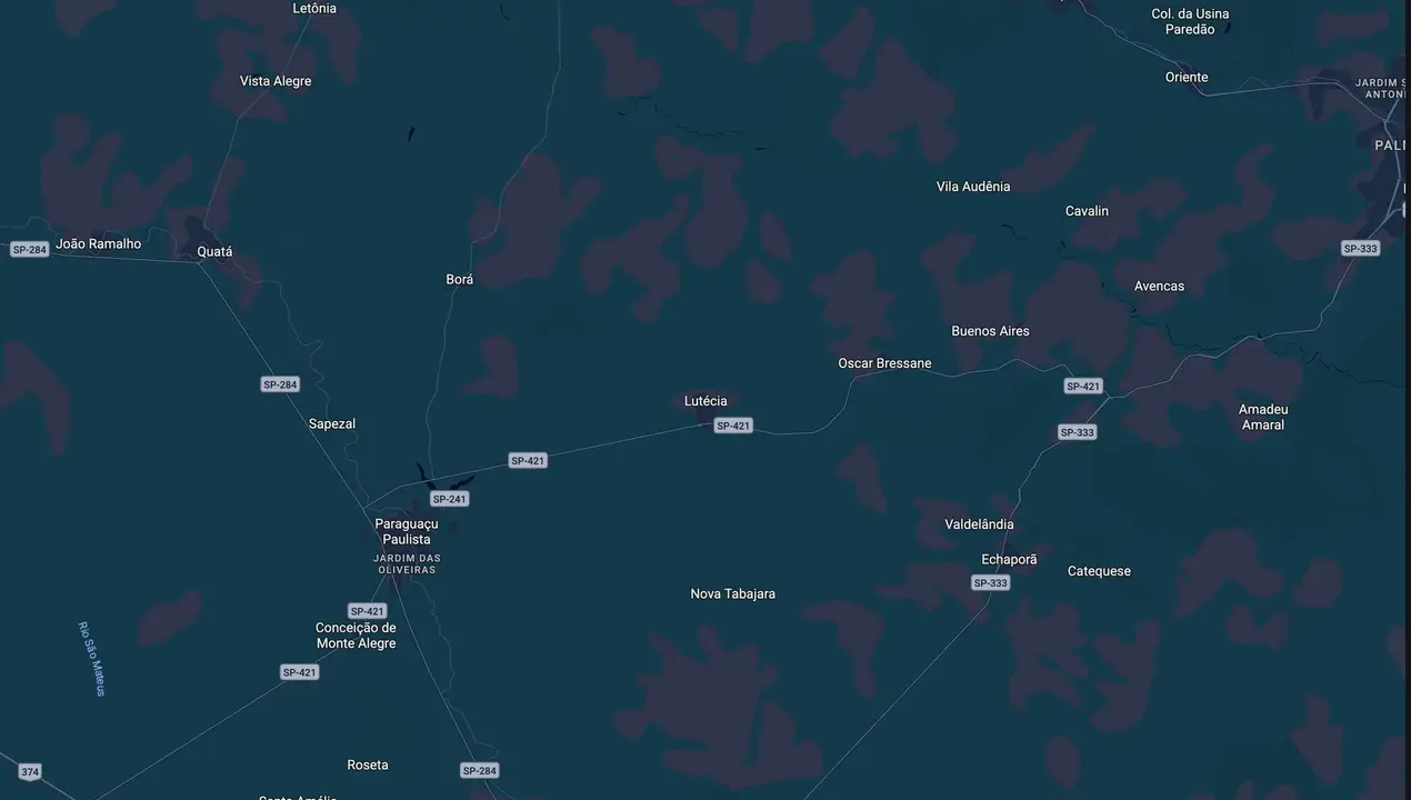 Mapa eleitoral de Leati