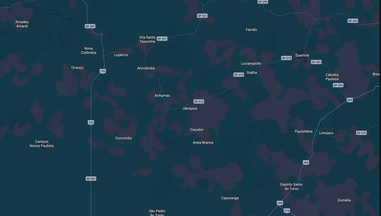 Mapa eleitoral de Leila