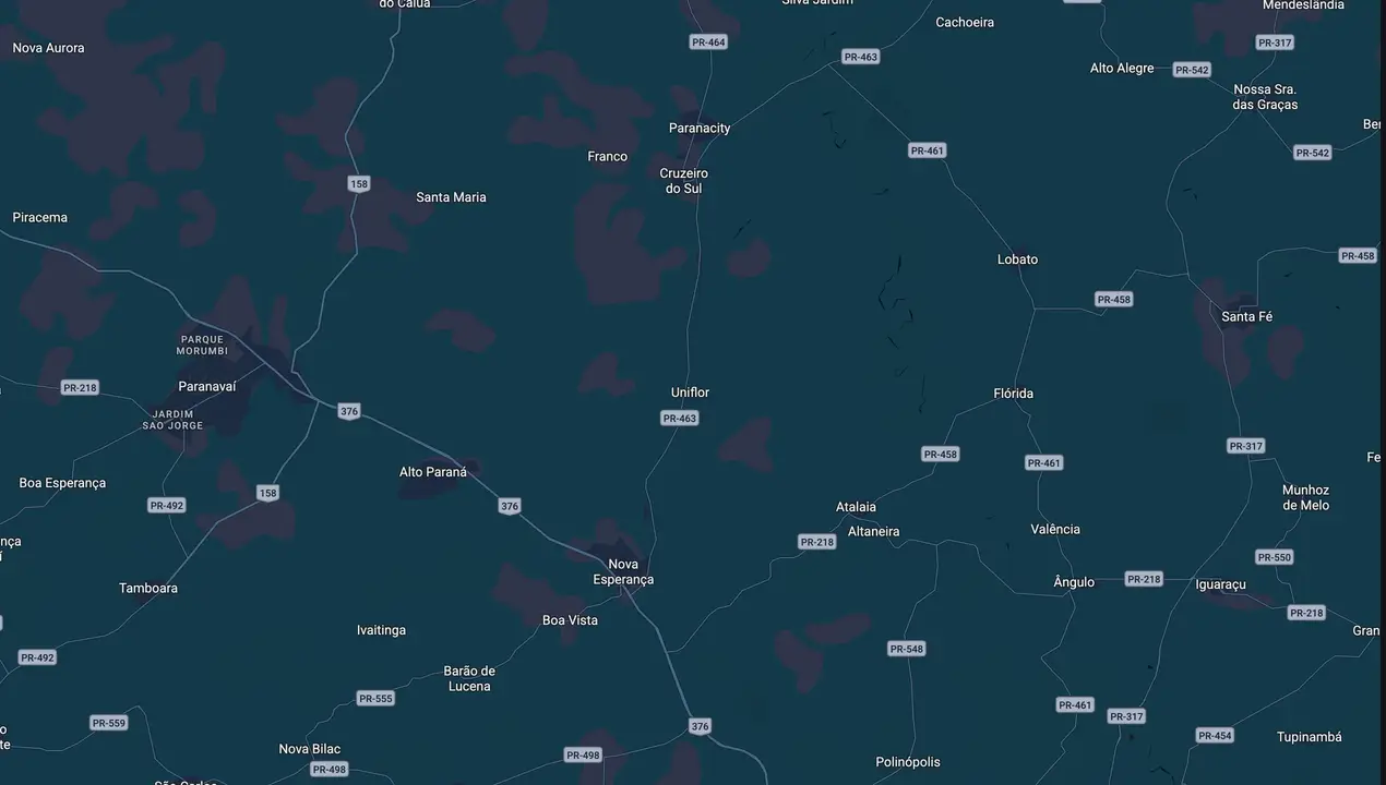 Mapa eleitoral de Maicão
