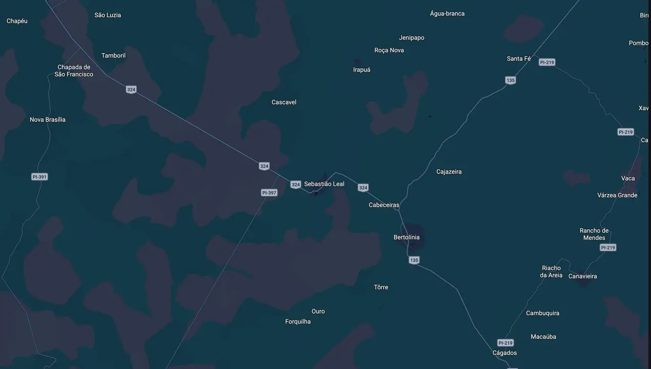 Mapa eleitoral de Manoelina Borges
