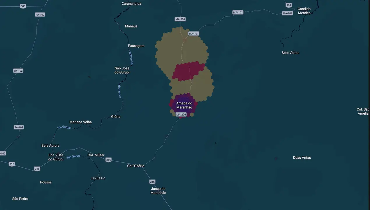 Mapa eleitoral de Nelene Gomes