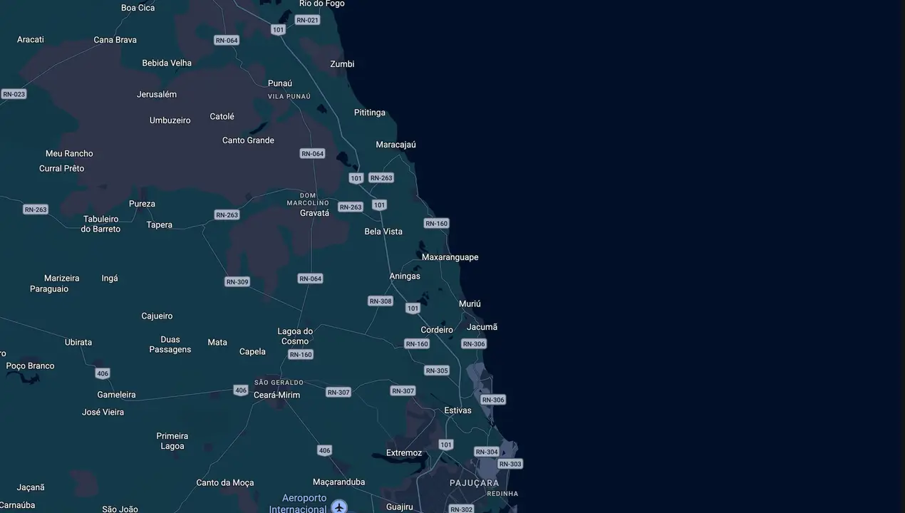 Mapa eleitoral de Professora Nira