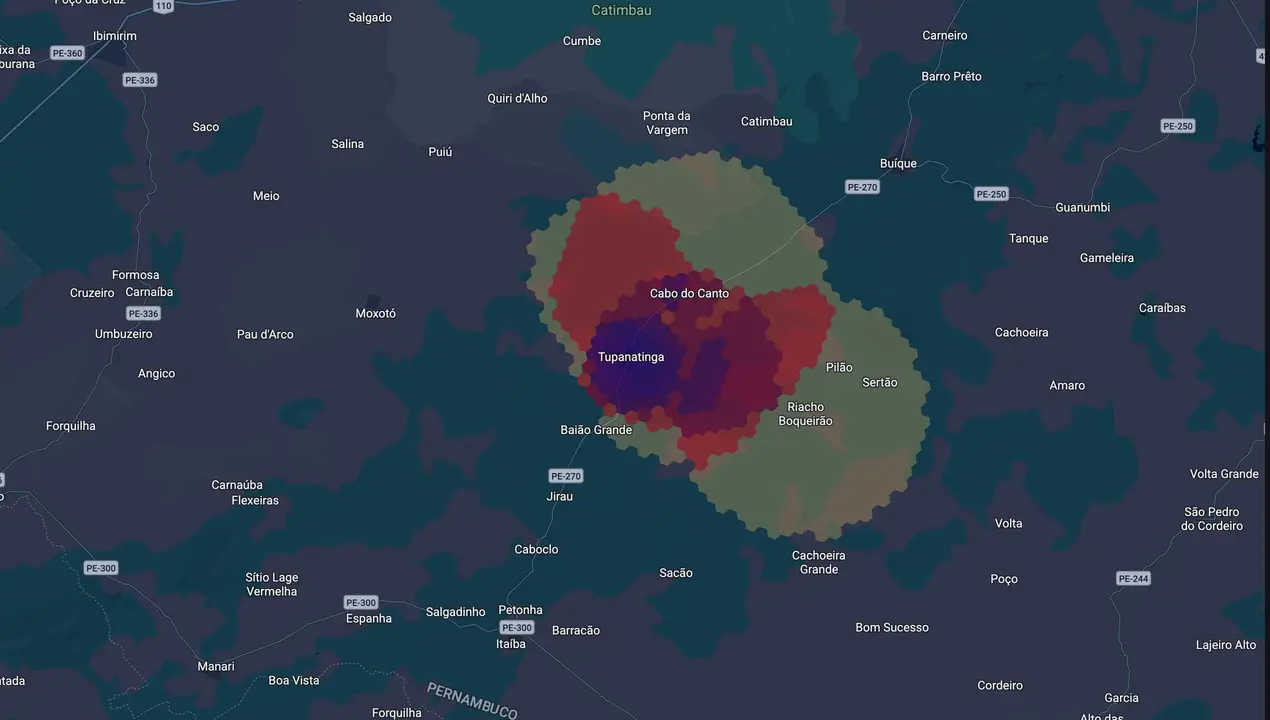 Mapa eleitoral de Professor Ronaldo