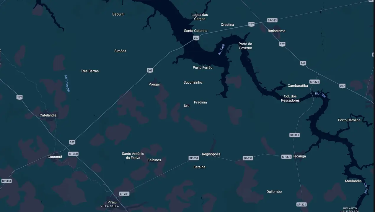 Mapa eleitoral de Robson Forte
