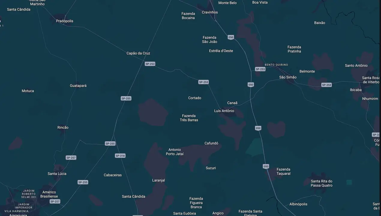 Mapa eleitoral de Rodrigão