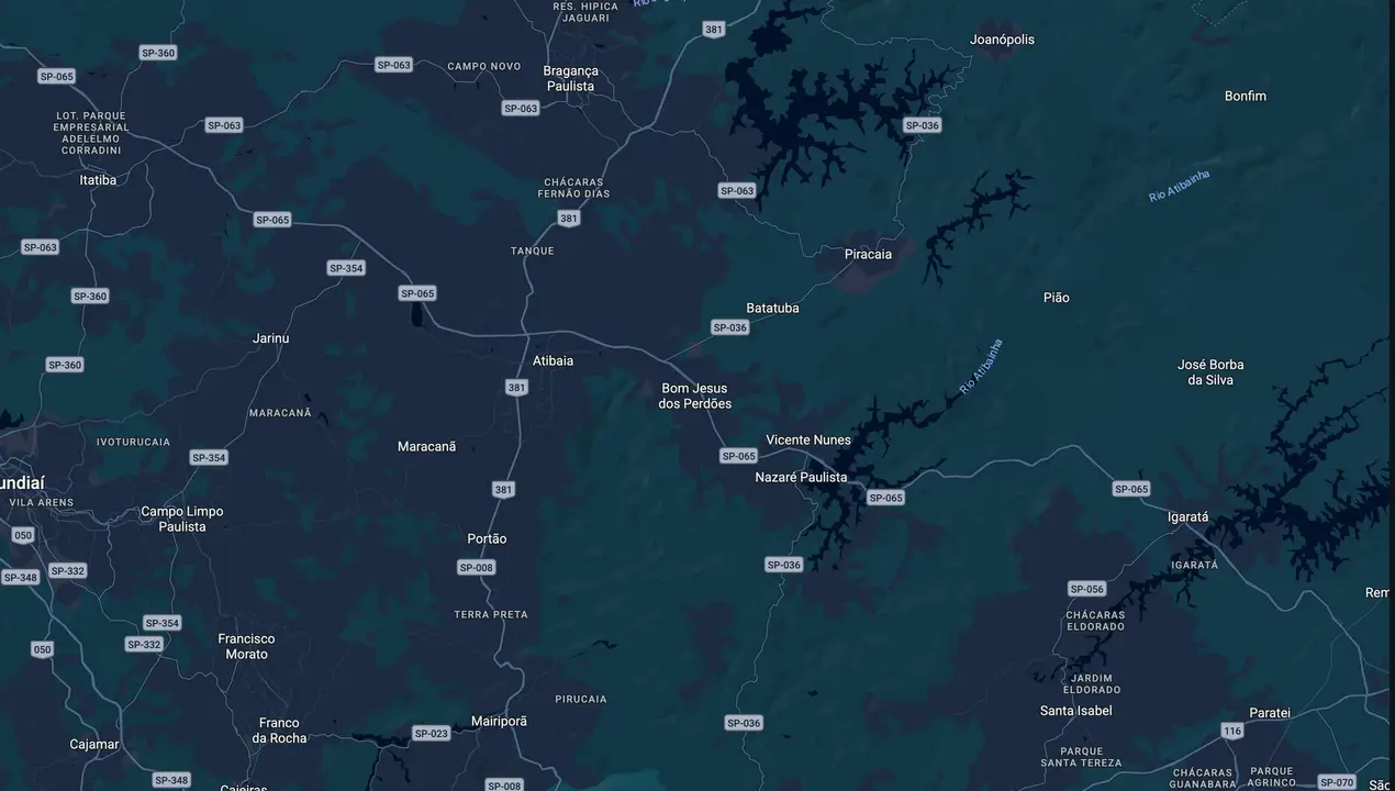 Mapa eleitoral de Sérgio Ferreira