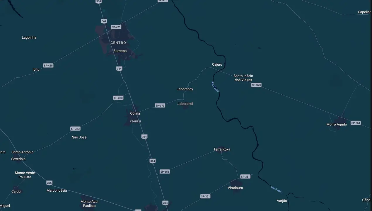 Mapa eleitoral de Silvinho Vaz