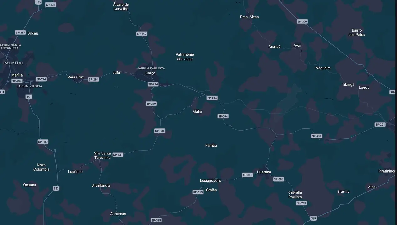 Mapa eleitoral de Silvino Junior