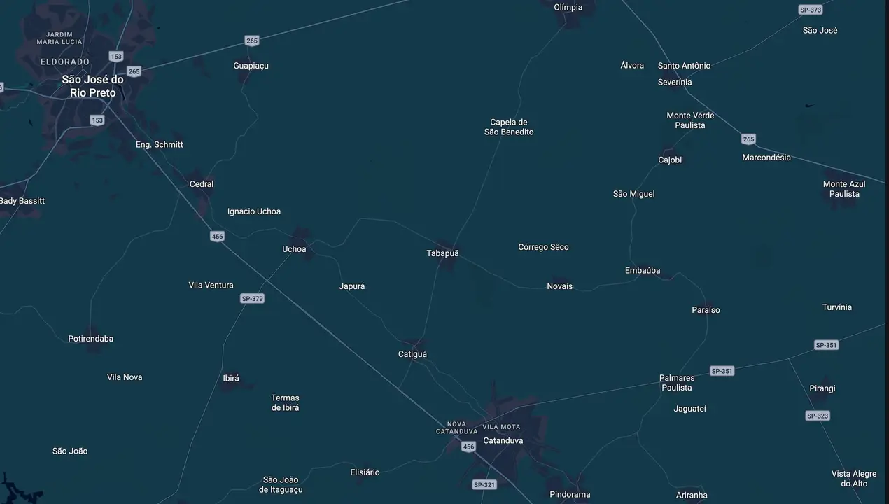 Mapa eleitoral de Silvio Sartorello